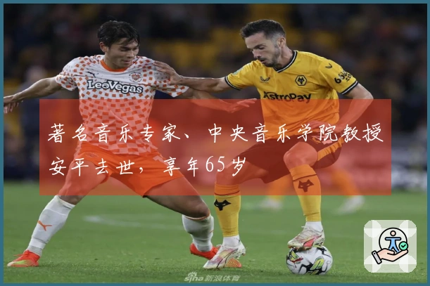 著名音乐专家、中央音乐学院教授安平去世，享年65岁