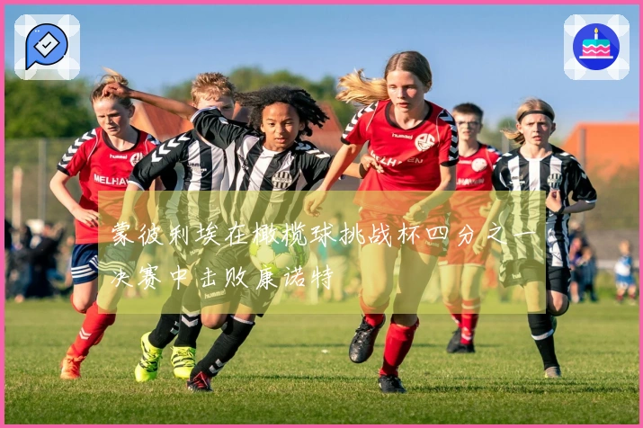 蒙彼利埃在橄榄球挑战杯四分之一决赛中击败康诺特